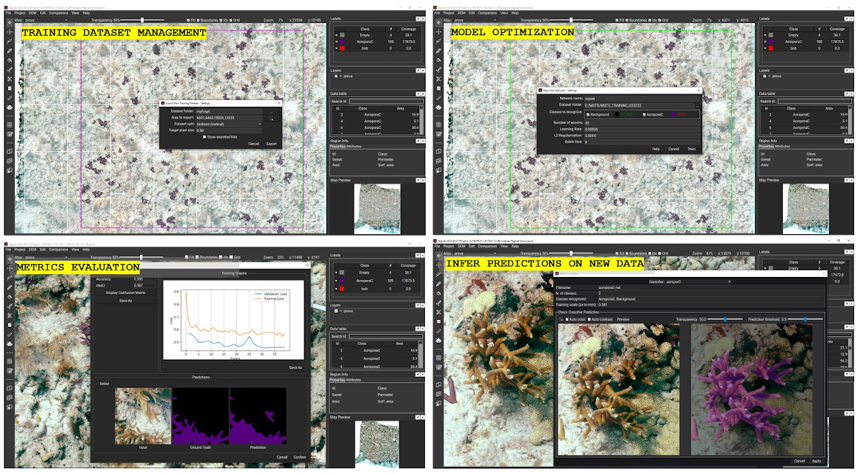 Das Bild ist unterteilt in vier Abschnitte, die alle Screenshots der Software TagLab zeigen, welche ein wichtiges menschzentriertes KI-basiertes Werkzeug zur Datenverarbeitung und zum Monitoring von Korallenriffen darstellt.